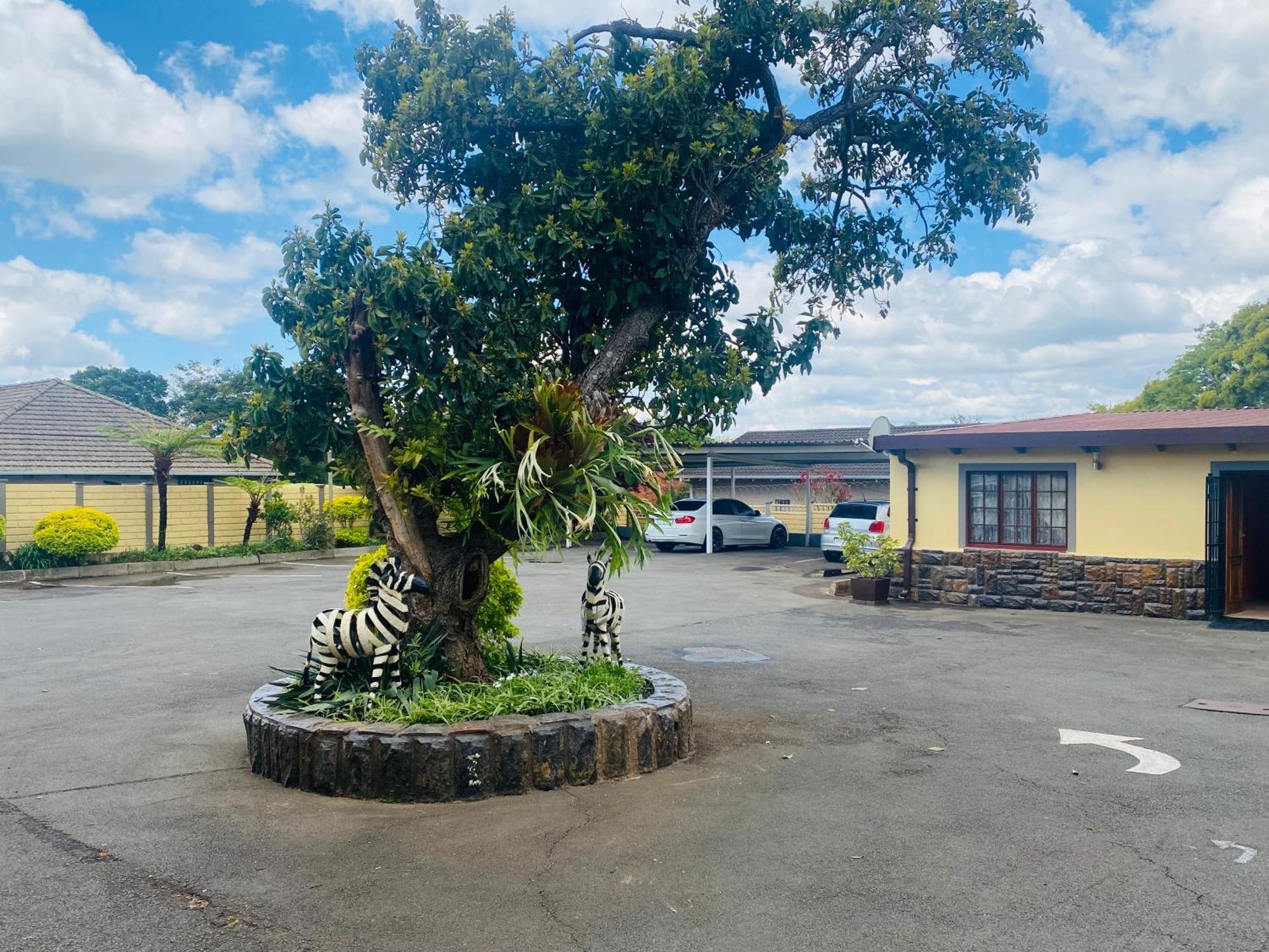 Madlula'S Guesthouse Pietermaritzburg Exterior foto